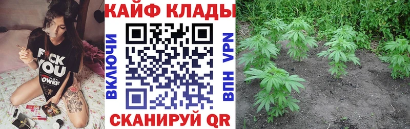 Виды наркоты Махачкала Марихуана Экстази СК ГАШ КОКАИН