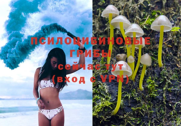 спиды Михайловка
