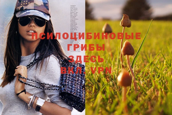 спиды Михайловка