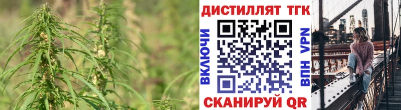 цена наркотик  Махачкала  Дистиллят ТГК THC oil 