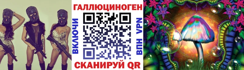 omg онион где найти Махачкала Галлюциногенные грибы Magic Shrooms