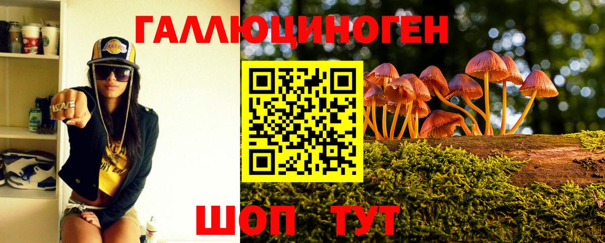 Псилоцибиновые грибы мухоморы Махачкала