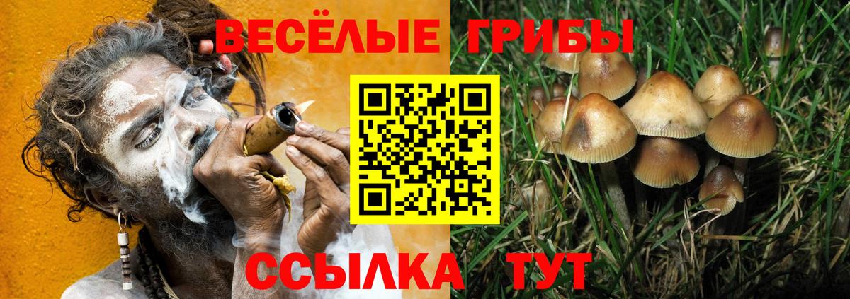 Махачкала  Псилоцибиновые грибы Psilocybine cubensis  Вход с VPN  Псилоцибиновые грибы ЛСД 