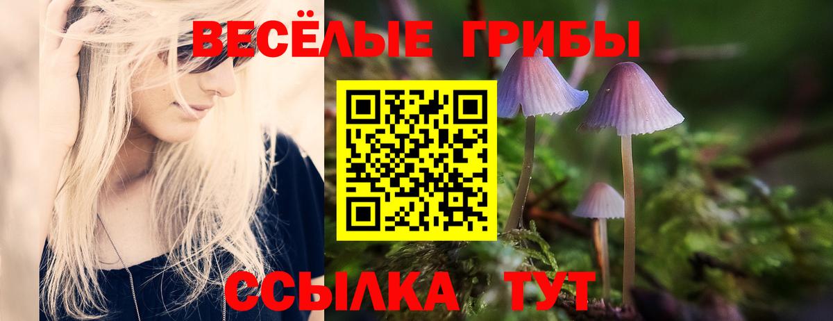 Галлюциногенные грибы MAGIC MUSHROOMS Махачкала