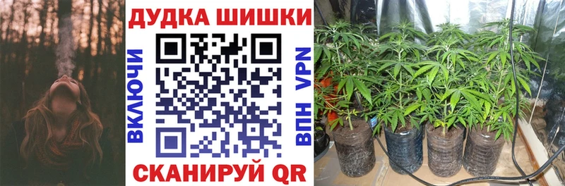 Марихуана конопля Махачкала
